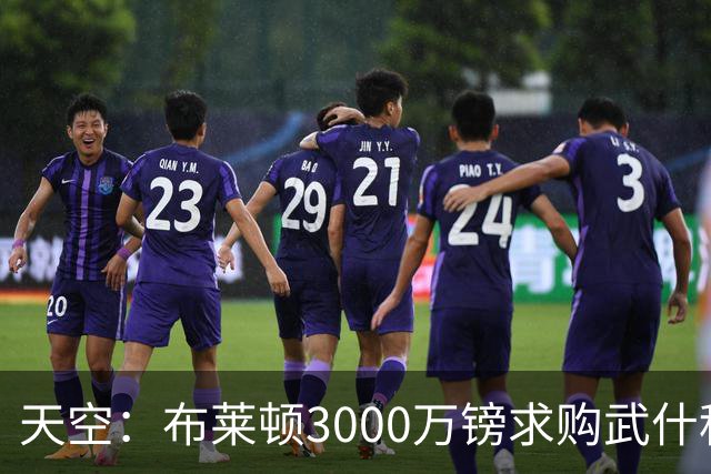天空：布莱顿3000万镑求购武什科维奇，预计热刺对其估值超6000万